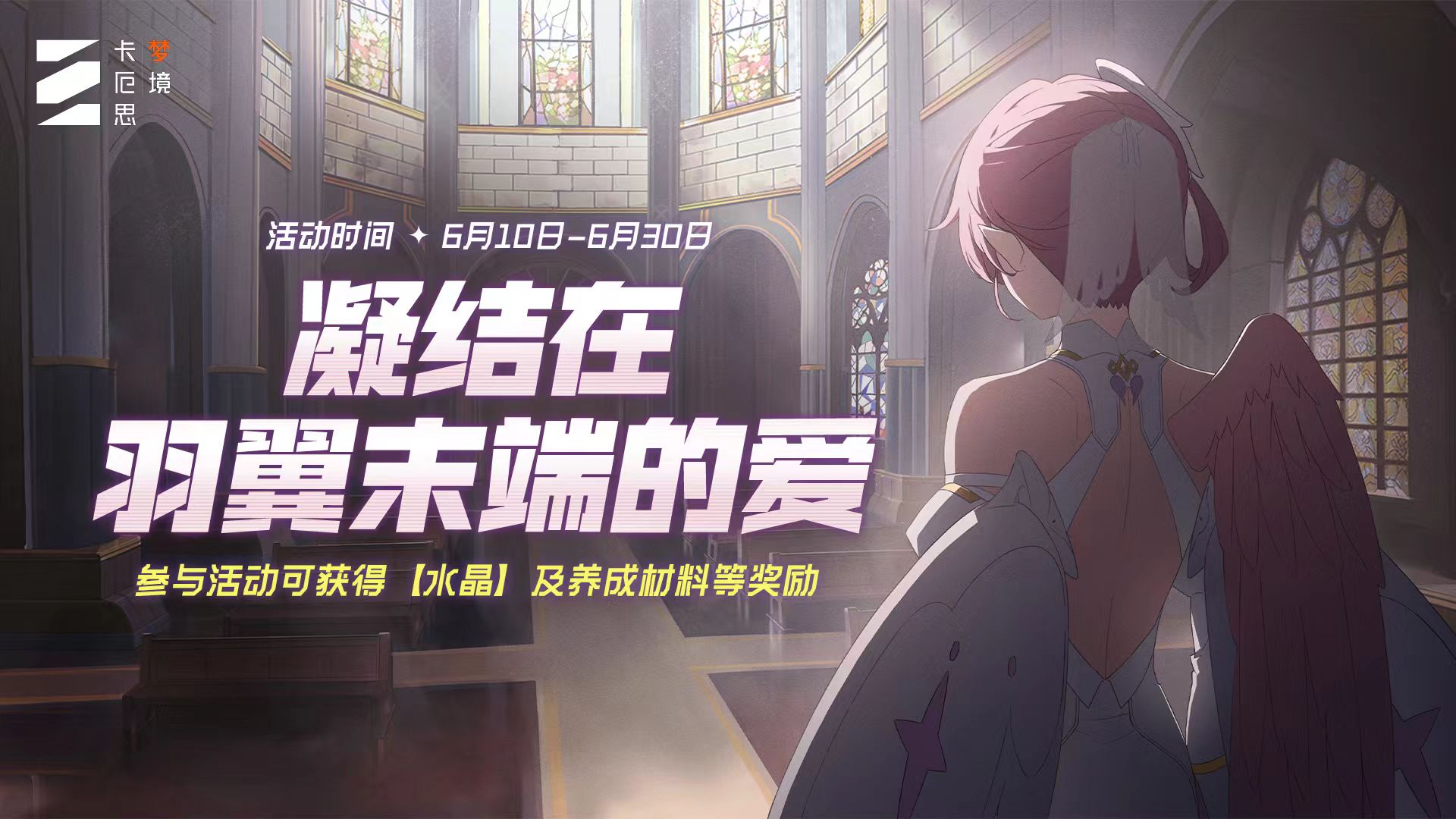 「凝结在羽翼末端的爱」活动即将开启