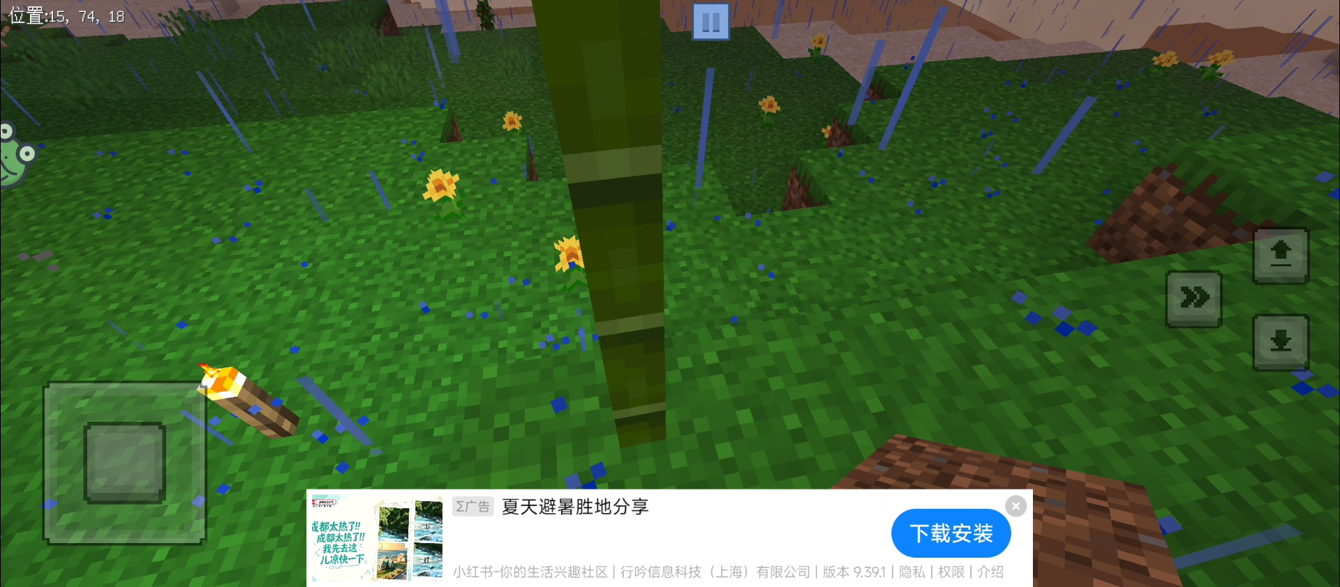 家养了一只大熊猫