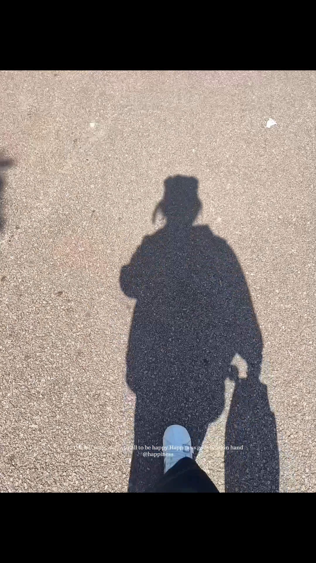 如果有天有人读懂我我也会愣在原地