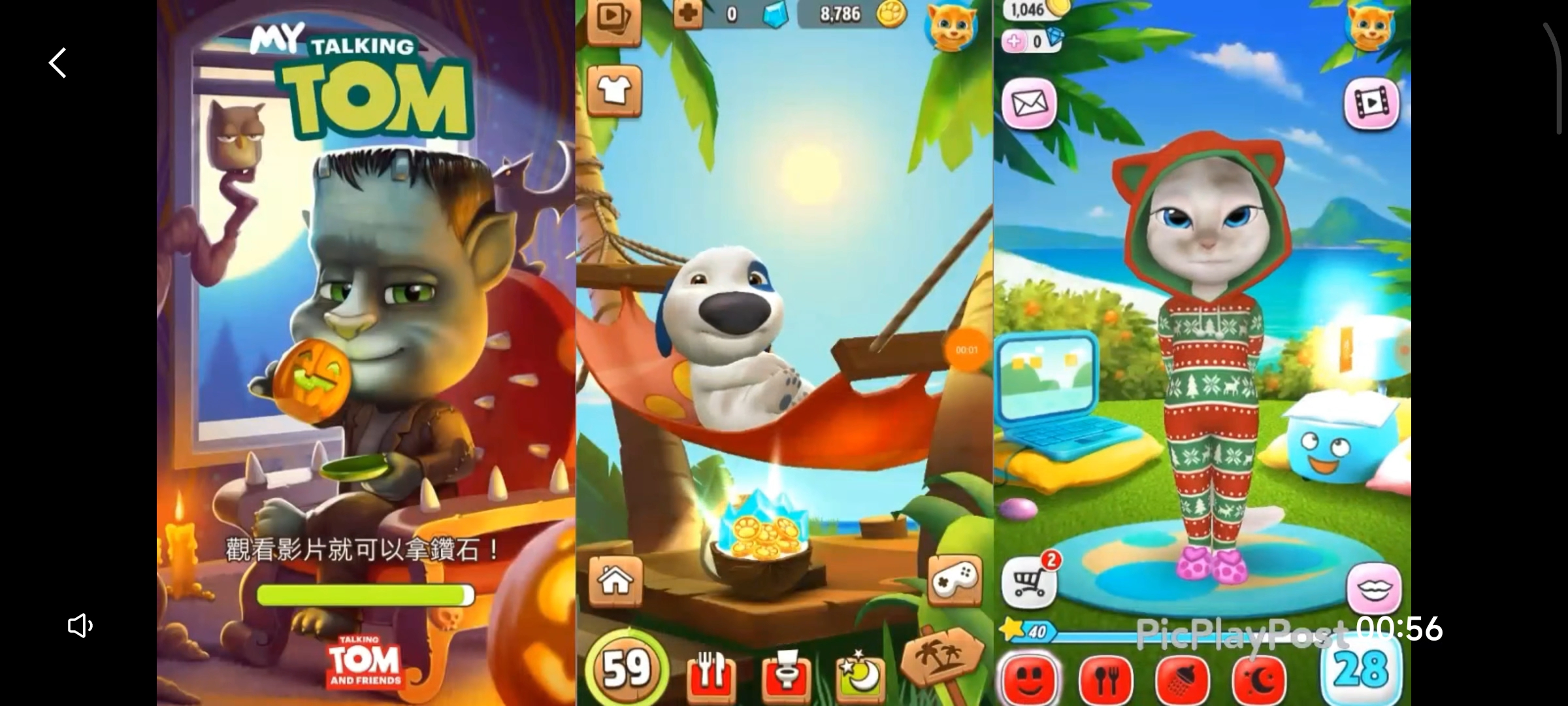 我的汤姆猫，我的安吉拉，我的汉克狗