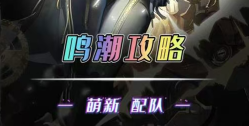 萌新配队思路分享