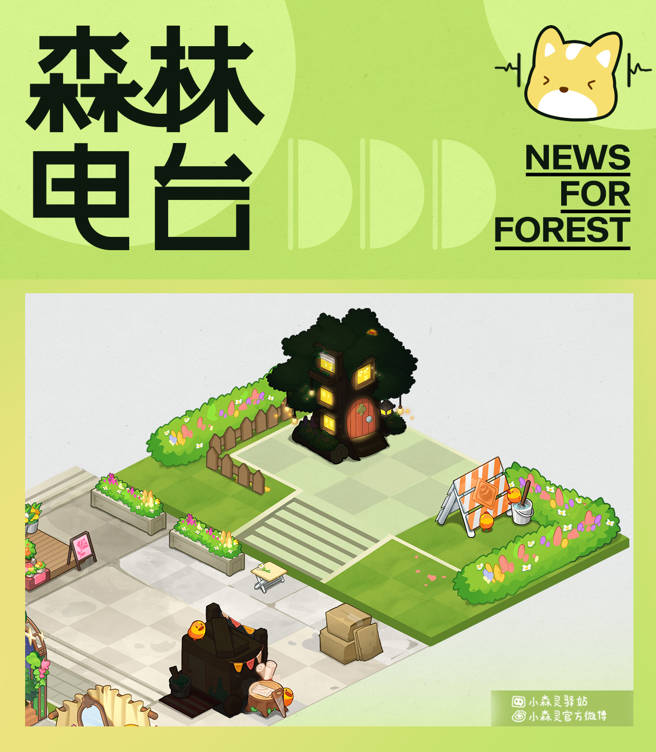 森林电台 | 字少！事大！速进！