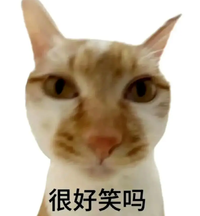 猫主子的“三国大业”：它们该如何谋定天下