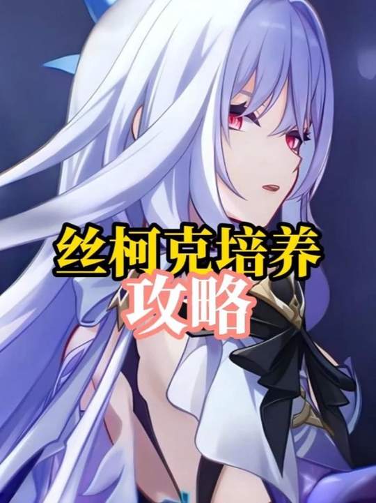 【角色攻略】丝柯克新版攻略