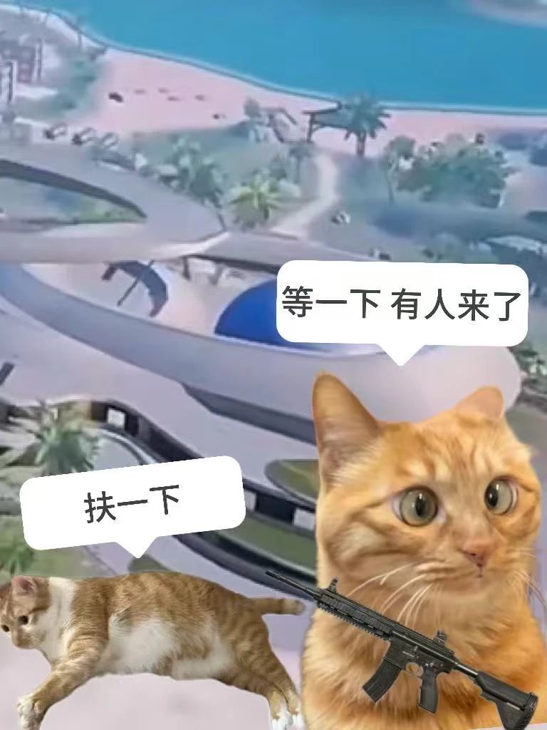 趣事投稿 | 我有属于自己的“挡枪牌”！