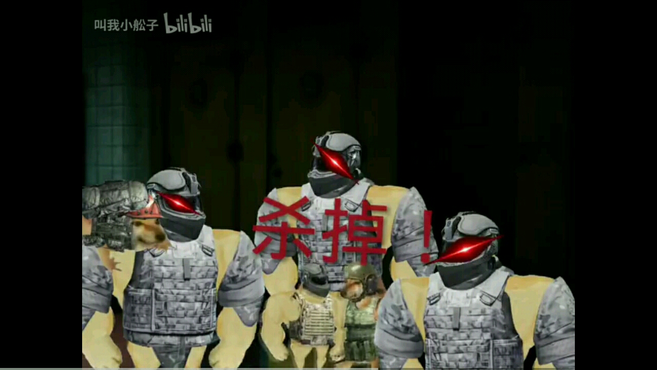 发现一只野生的板板