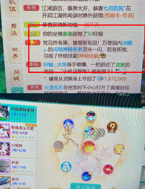 帮忙看看，有没有必要转种族？！