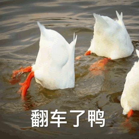 直男520翻车：多线作战为何总差临门一脚？