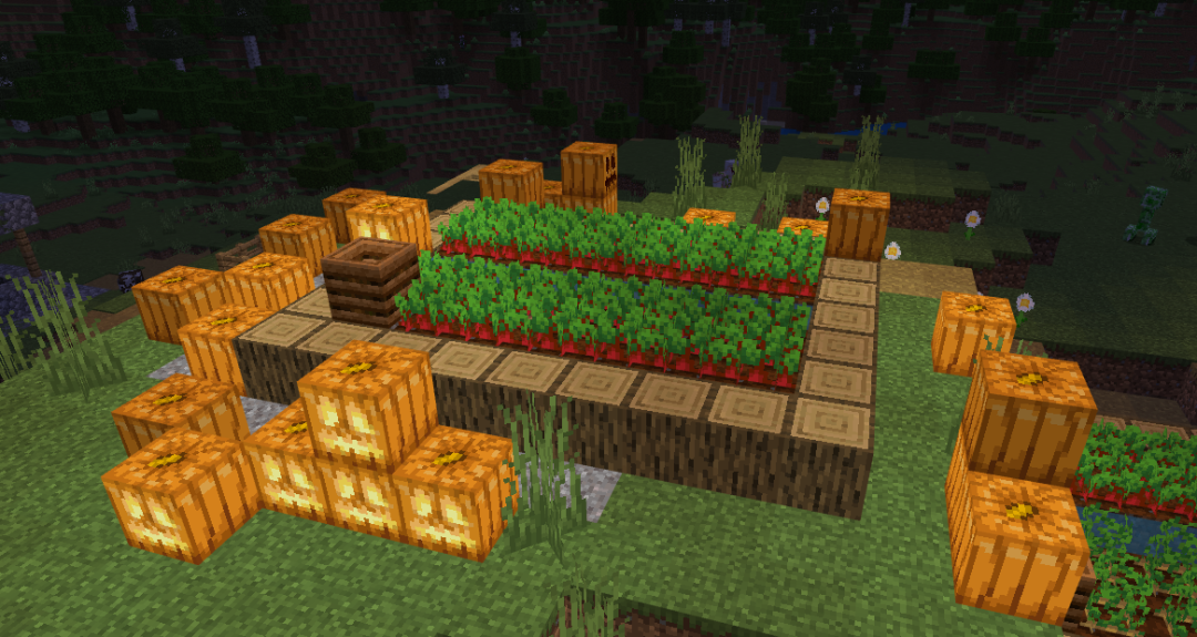 你见到过我的南瓜头吗？