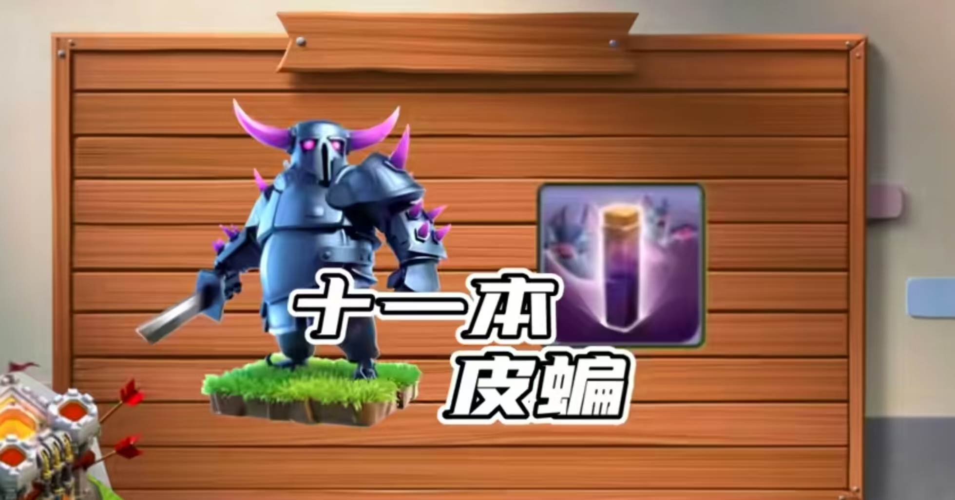 十一本皮卡蝙蝠流