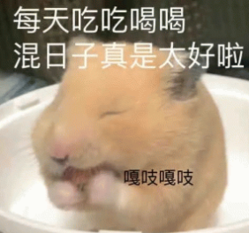 端午美食VS三谋福利 这个假期你选哪种快乐