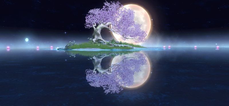 无聊拍两张留纪念，哈哈