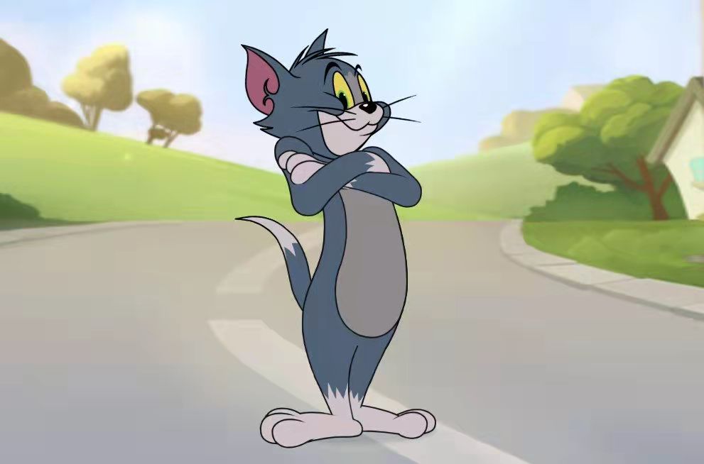 《猫和老鼠》汤姆知识卡怎么选择？