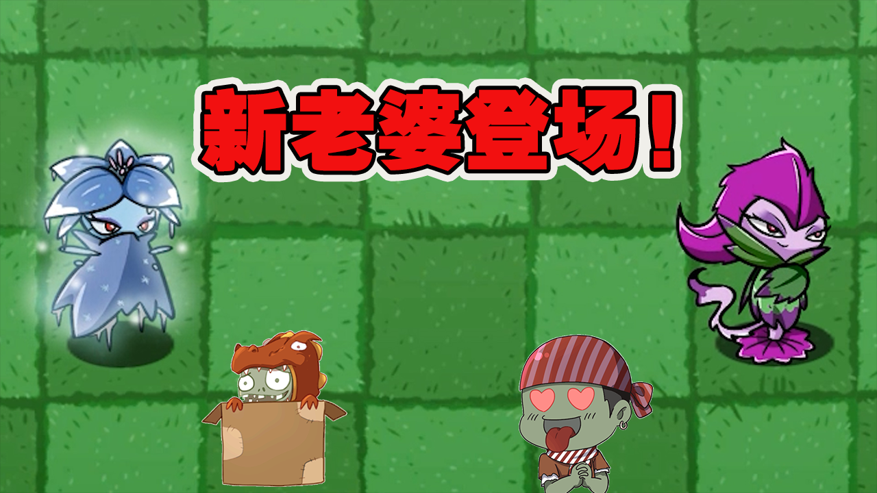 植物大战僵尸：又一个新老婆登场？居然是一位高冷小姐姐？