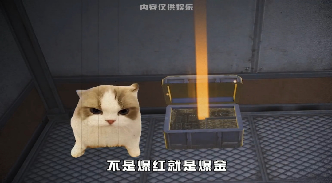 不用谢，新的一年我将替怼友抗下以下的”麻烦“