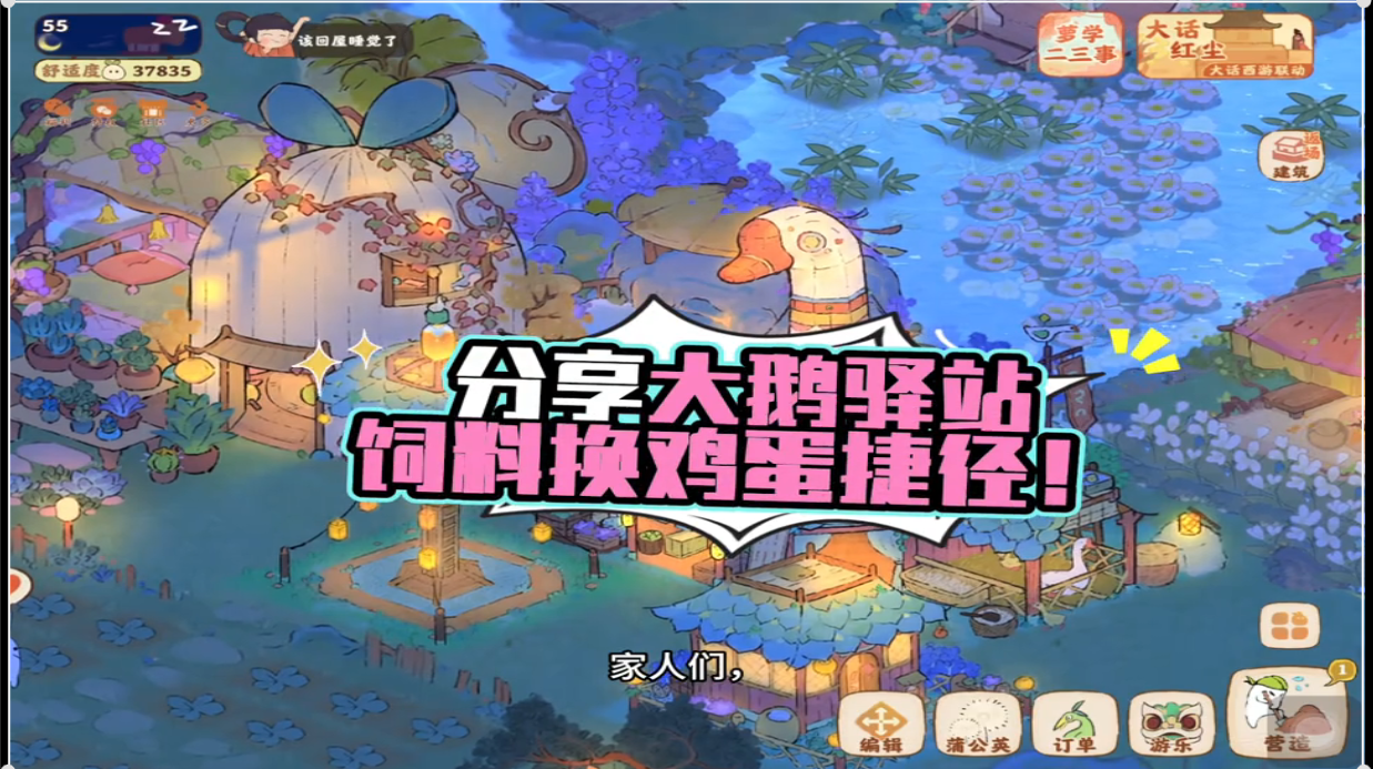 饲料换鸡蛋捷径