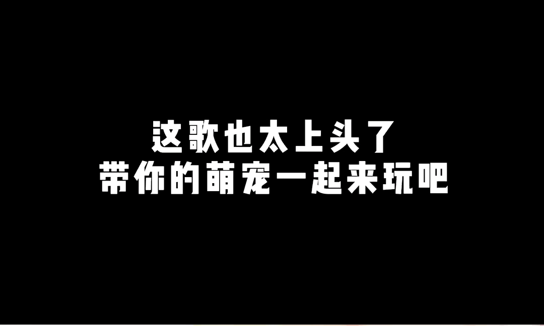 #小猫爱消除#震惊，小猫咪也来表演一首穷叉叉了。