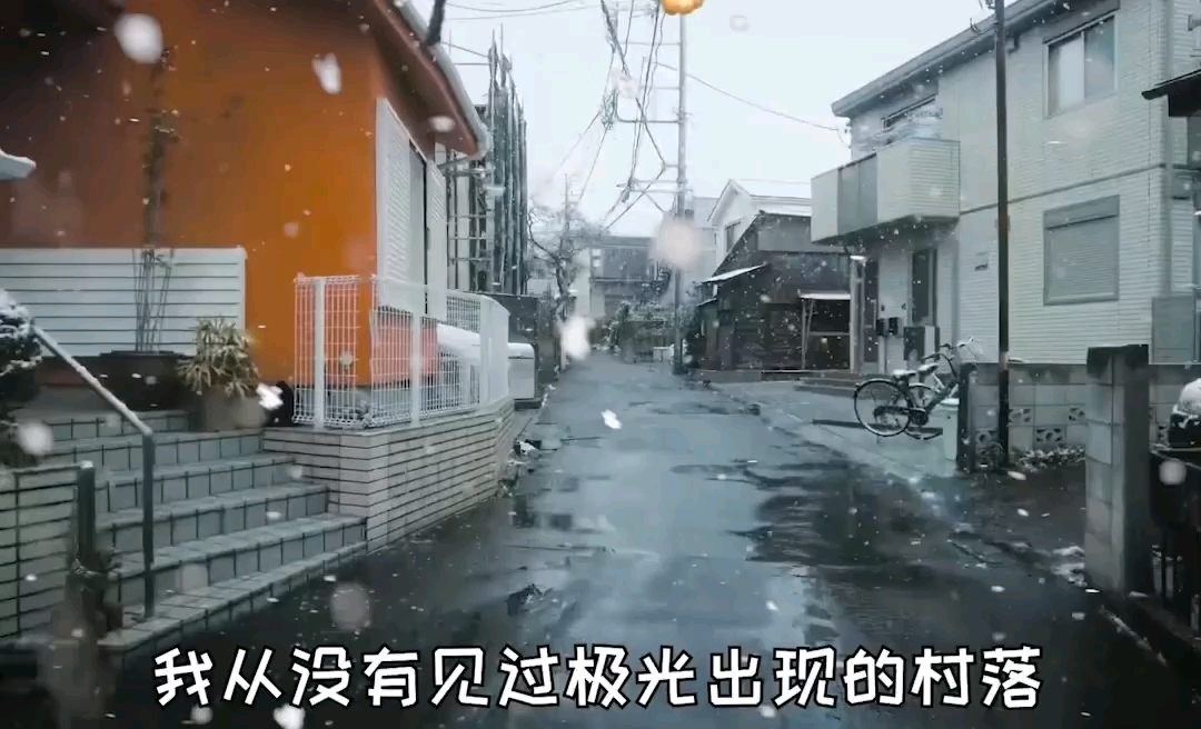 猫咪版的漠河舞厅。