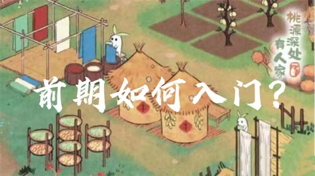 前期如何入门？