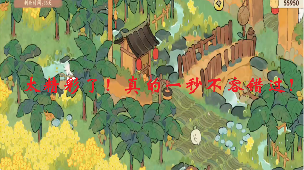 太精彩了！真的一秒不容错过！