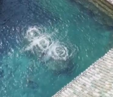 趵突泉靠水泵？这游戏里的自然规律更得细品