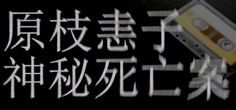 《原枝恚子神秘死亡案》上架steam VHS版超沉浸神秘恐怖