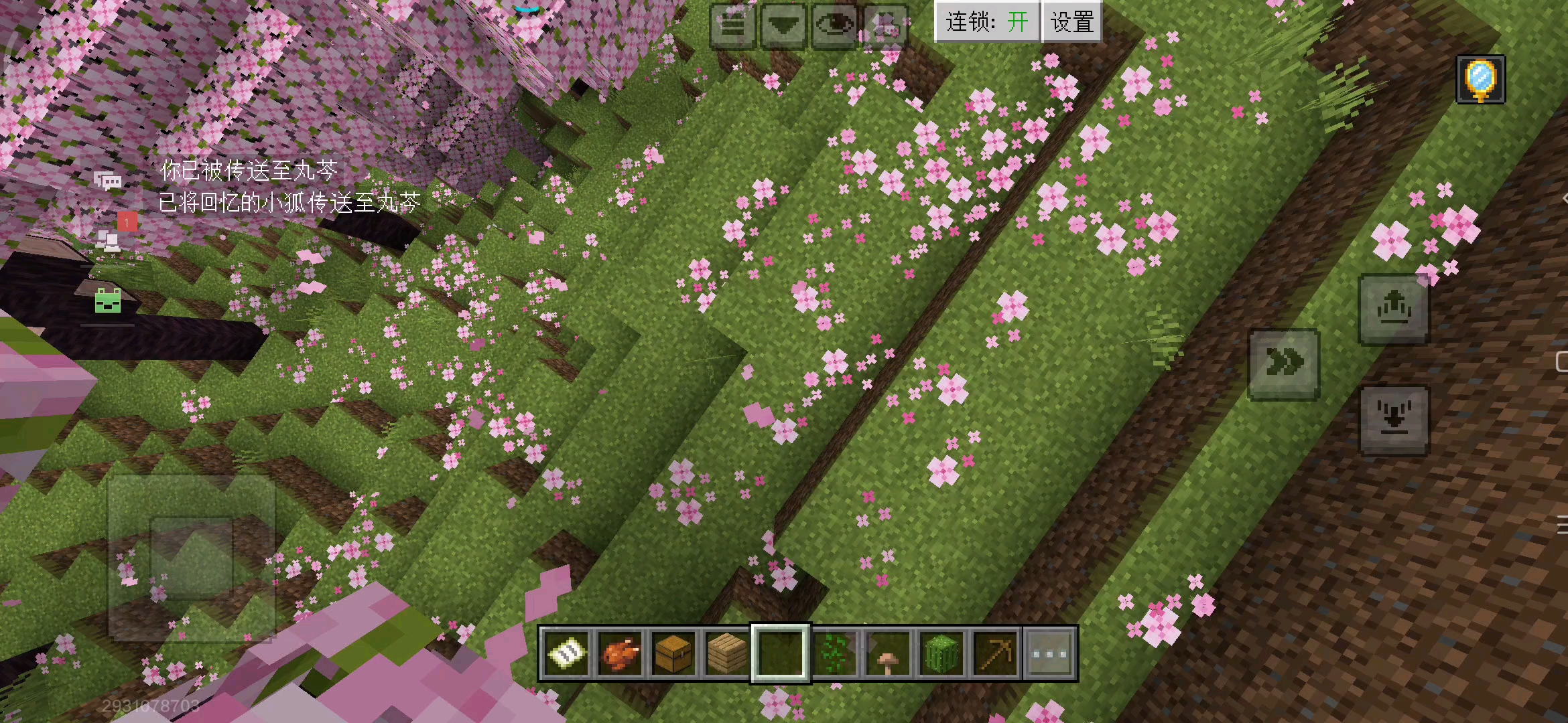 樱花林中我想问一下，那地上的那些是粉色的花还是滑板？