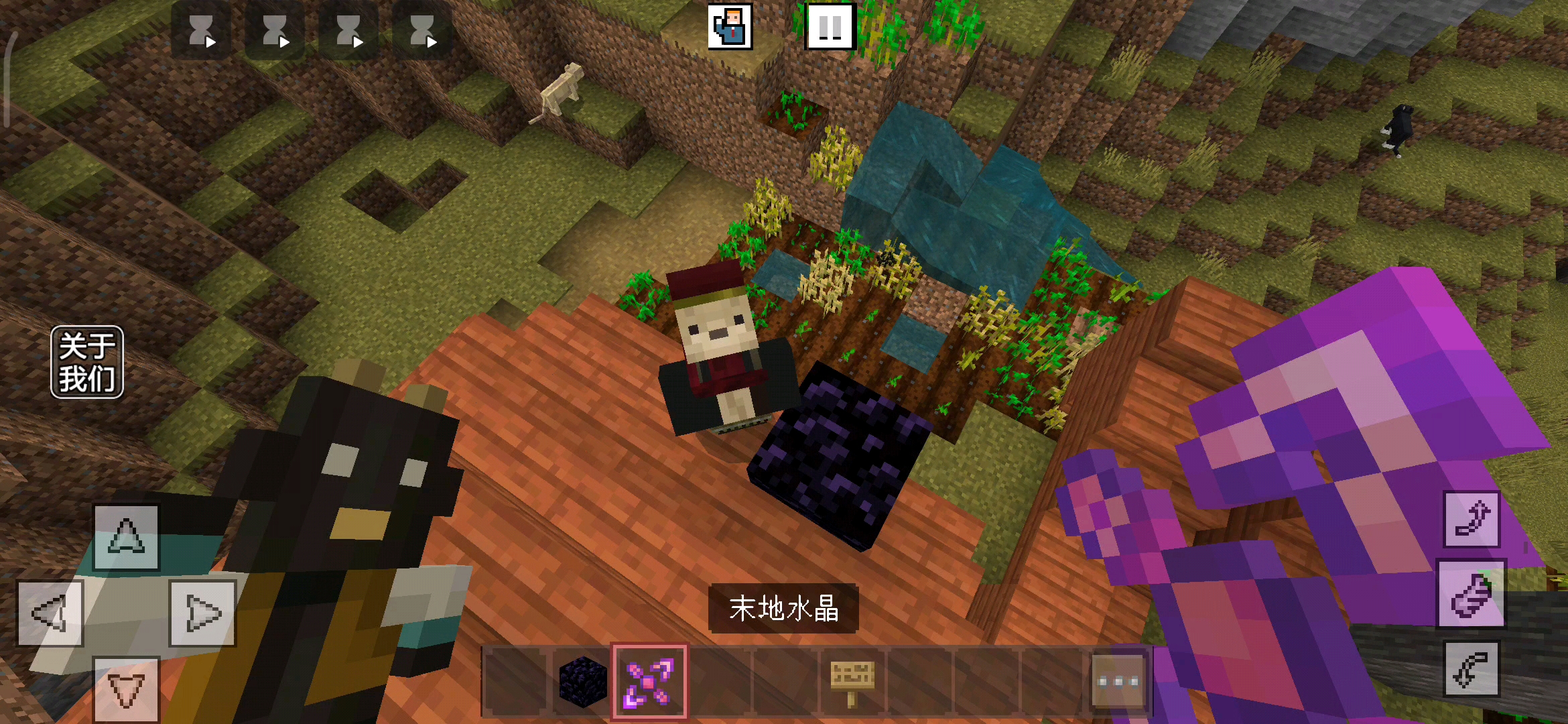 这模组里的村民长得还挺可爱,这个末地水晶长得也有点奇怪