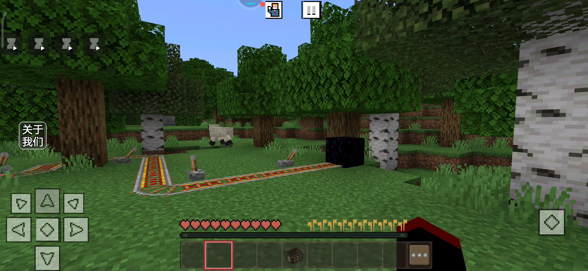 建造过山车虽然花费很长,但是我比较在意结果。