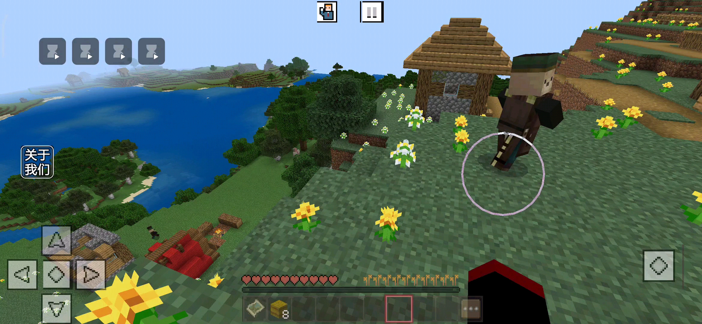 一个被玩家洗劫过的村庄。