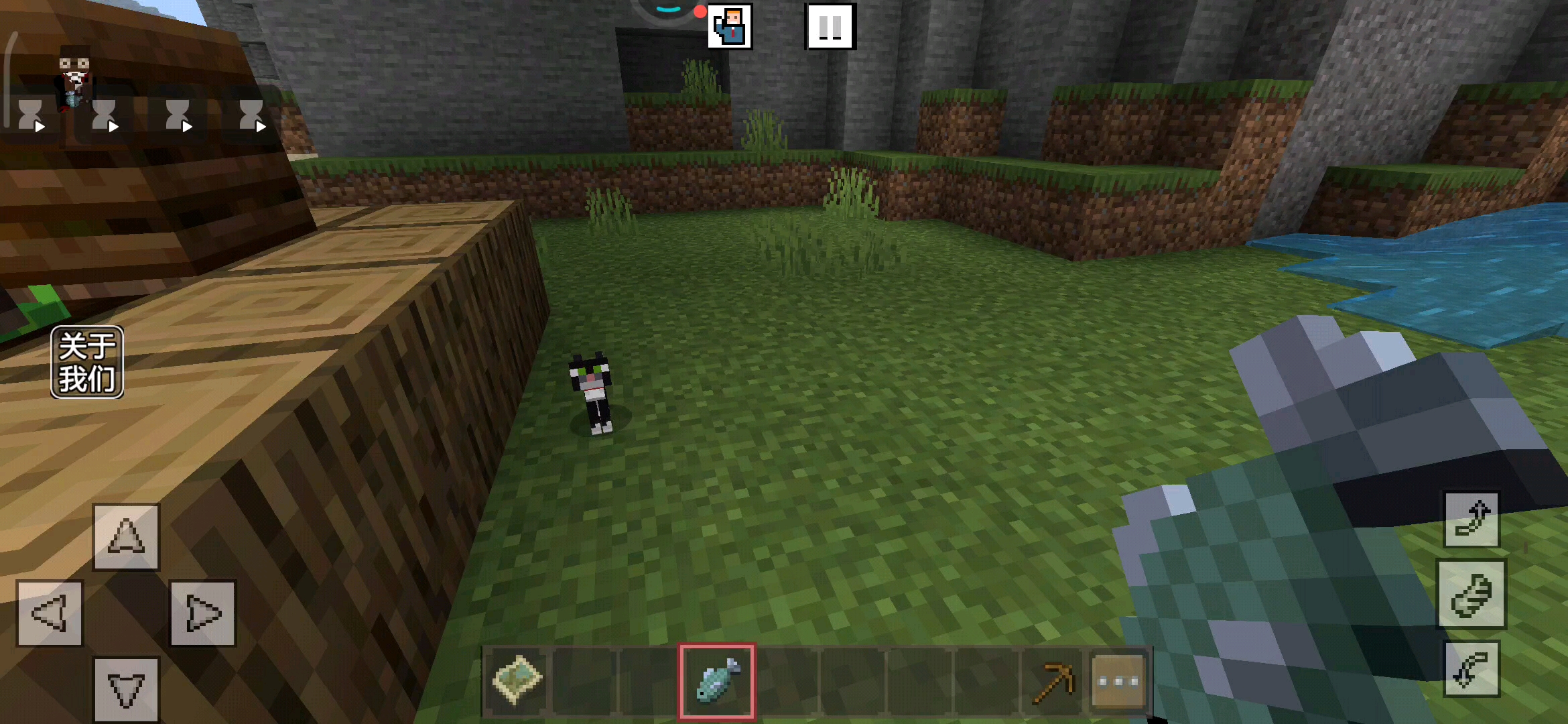 小黑猫的生成概率是多少？