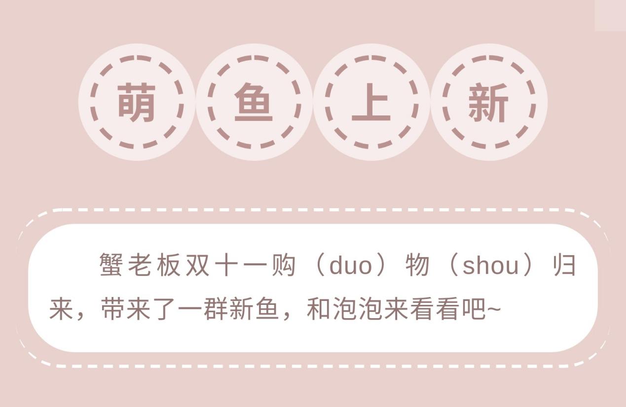 【更新公告】十二星座双子座，可可爱爱小仓鼠~
