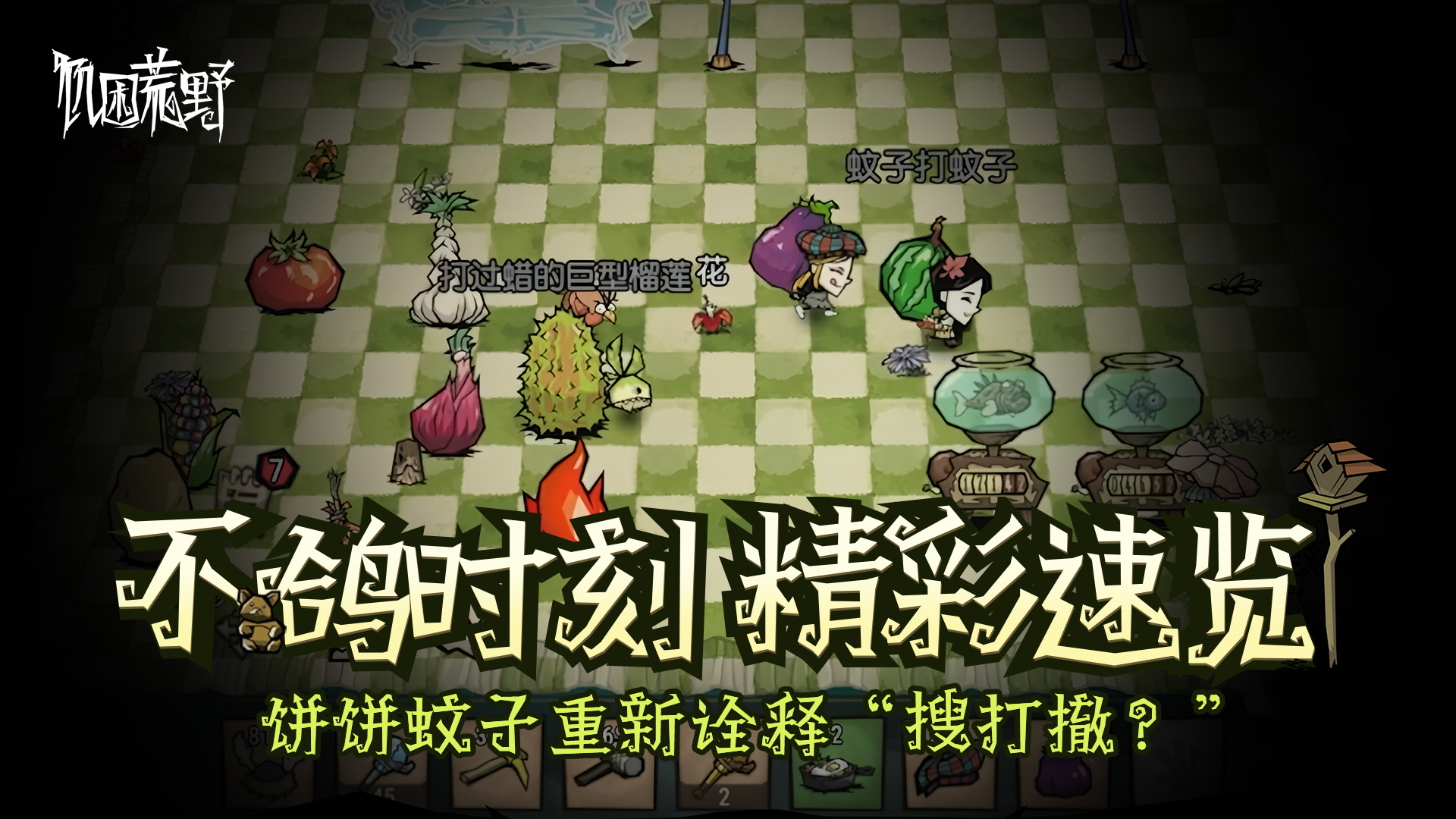 “不鸽时刻”精彩速览