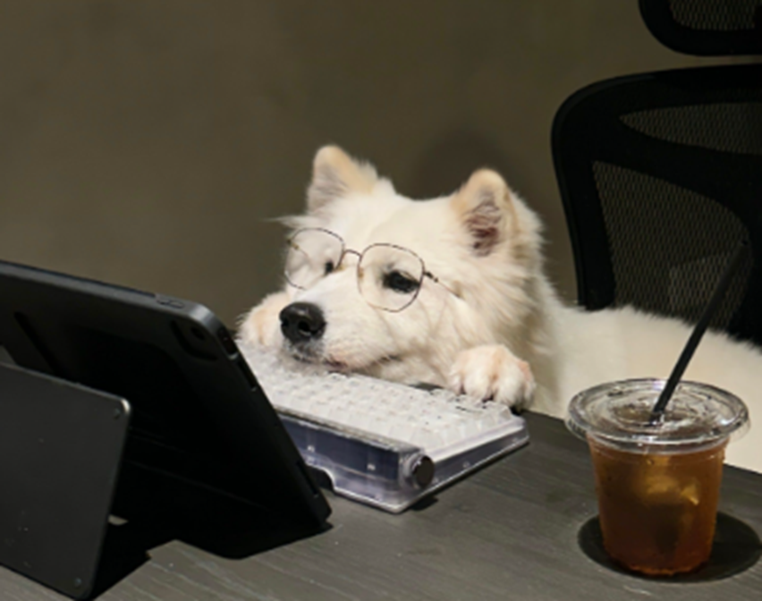 职场萌宠治愈打工人 这手游里的同盟更暖心