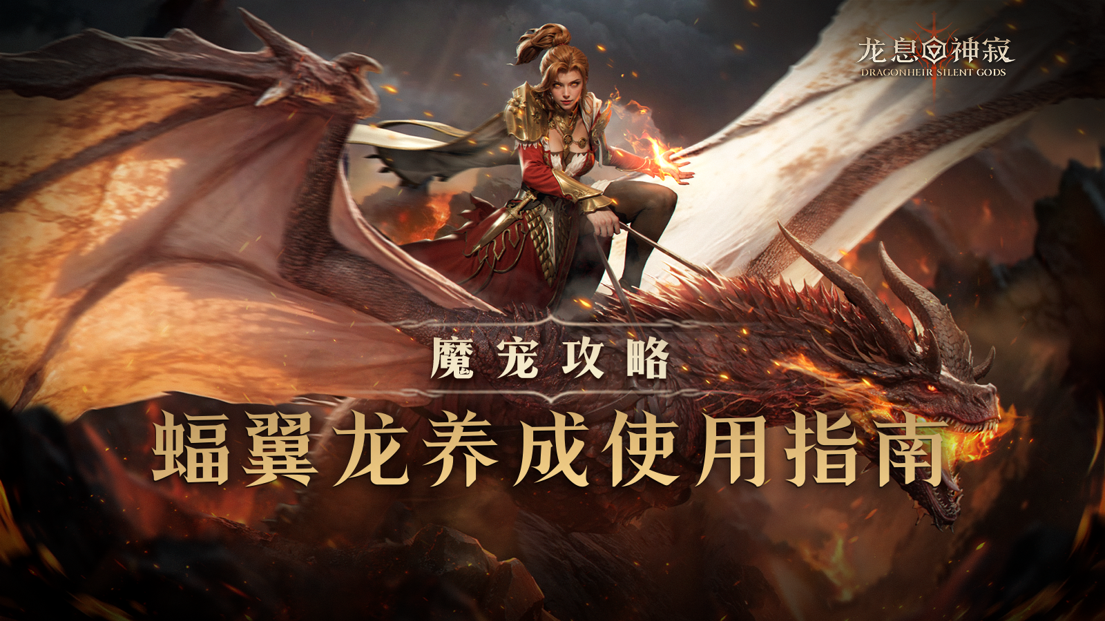 魔宠攻略|蝠翼龙养成使用指南