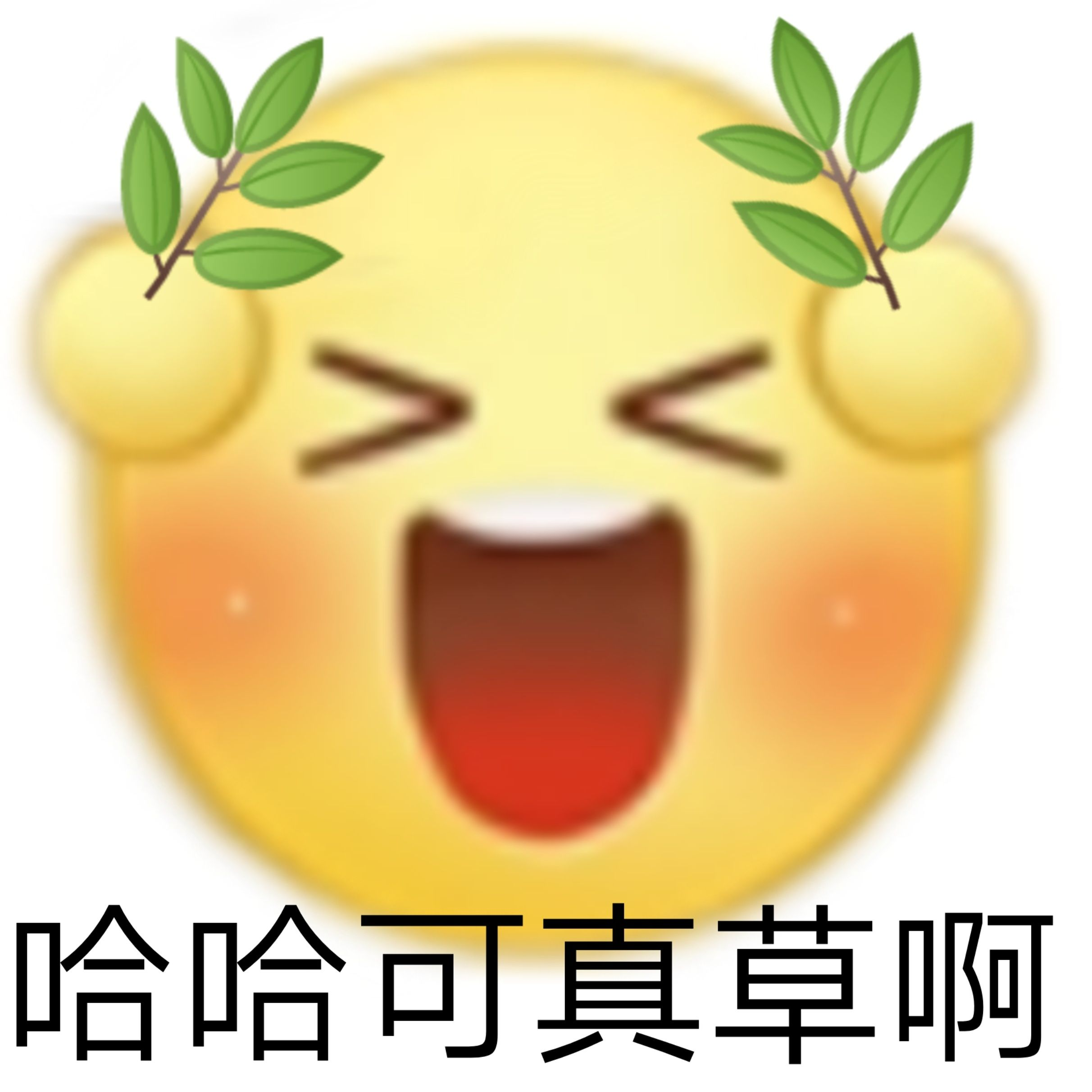 哪里能找到靠谱的三谋攻略？我的学习途径