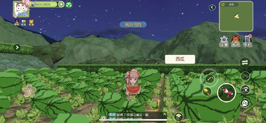 村民们的理想夏日展示~