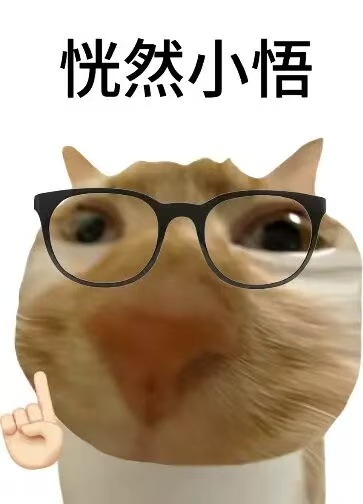 意难平！葡萄牙离八强就差一厘米啊