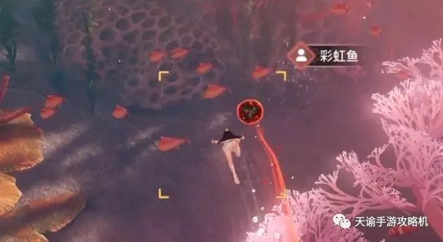 天谕手游汐愿之海鱼类分布大全