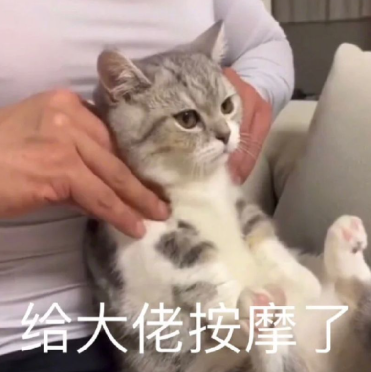 三谋玩家的日常：收菜、看战报、偶尔唠嗑 