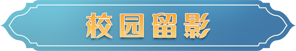 魔法头条︱小雪鸮赛季爆料开启，「校园留影」唤起美好回忆