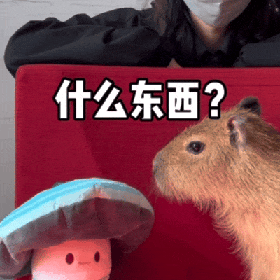 国民网红入职天机阁，爆改策划整顿游戏职场？