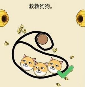《救救狗狗》画线救狗太上头，智商在线才能救萌宠！