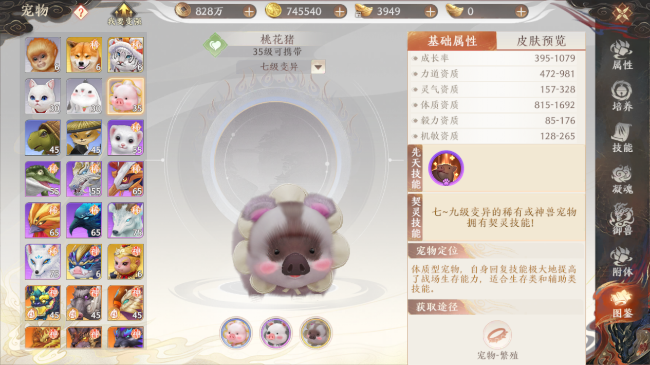 【江湖攻略集】挂机时常没蓝？不如试着培养桃花猪