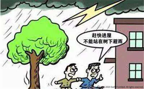 雷雨天气，该注意什么事项？ 