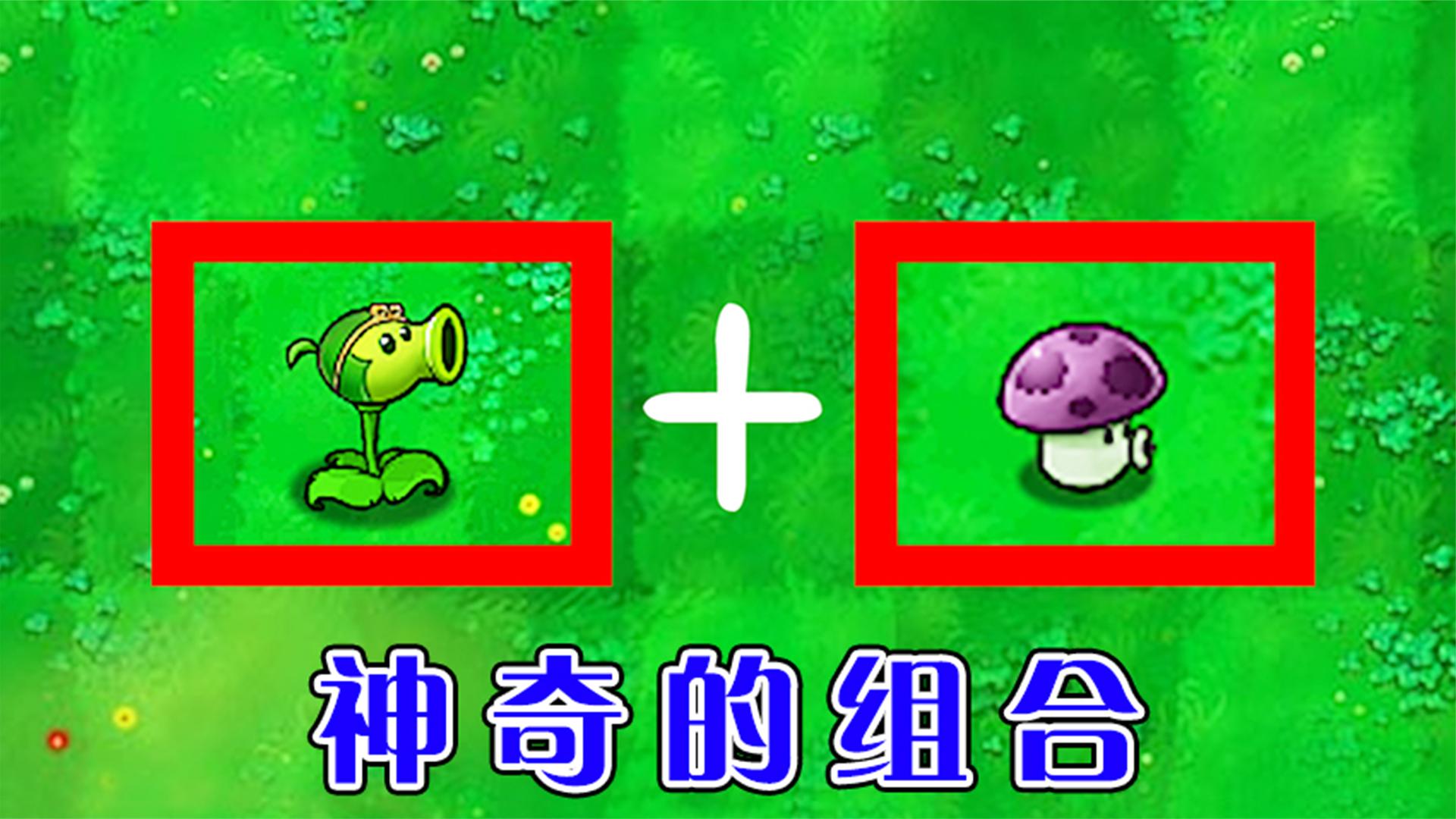 植物大战僵尸：豌豆射手＋小喷菇，都能打败哪些僵尸？