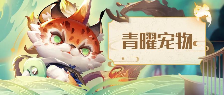 活动预告 | 青曜神仙来啦！还有全新青曜宠物、幻仙哦！