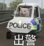 玩家采访 | 曹老板：“你怎么知道我就是小紫月本人？”