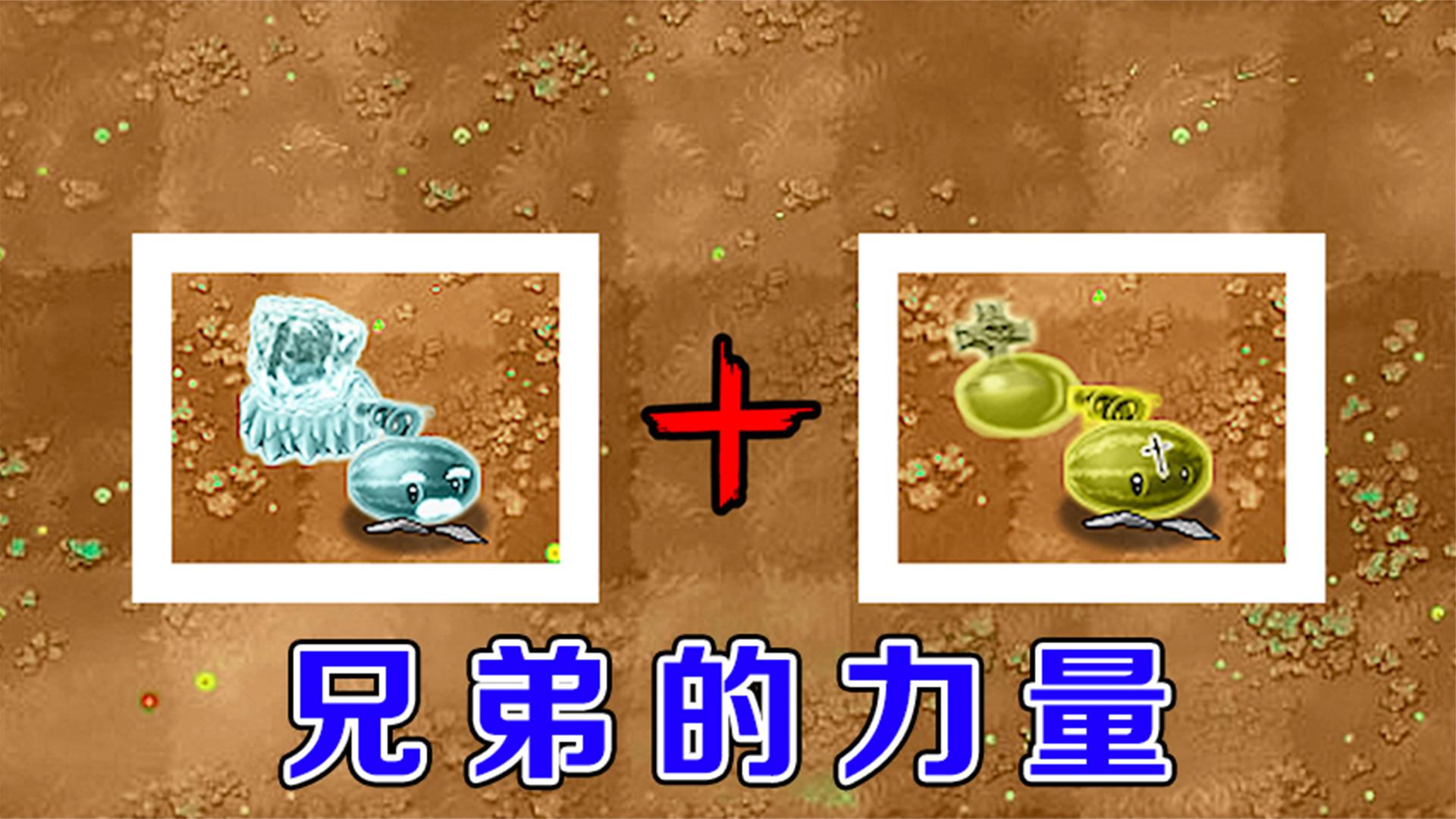 植物战僵尸：军团长老＋圣殿投手，真有那么强！