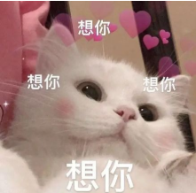 宝，我换时装了！换的什么时装？是看见你就小鹿乱撞~ 